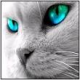 Avatar von Not Helpless